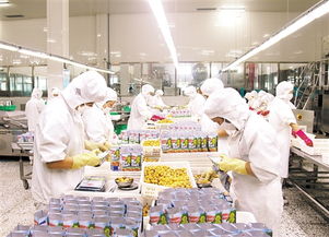 神栗公司 靠山養山，以林果產業架起深山與世界的致富橋梁